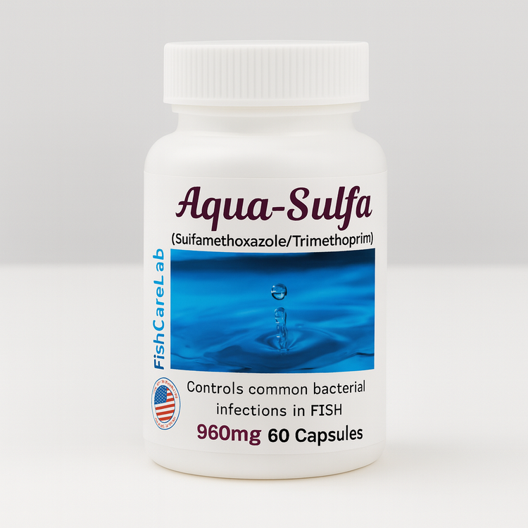 Aqua Sulfa Sulfamethoxazole 960mg – 60 Tablets