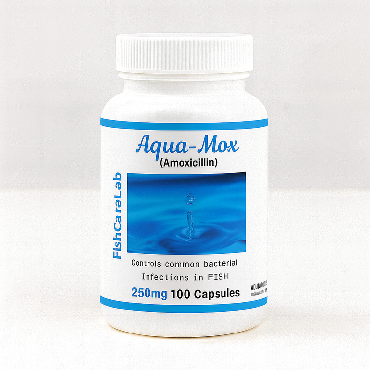 Aqua Mox (Amoxicillin) 250 mg 100 Capsules Fish Antibiotics