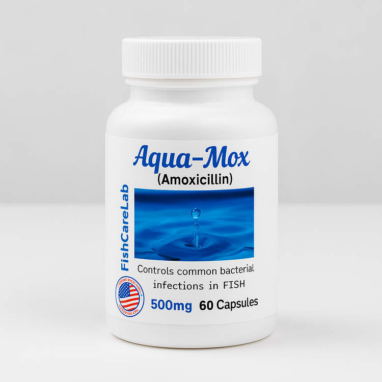 Fish Mox 500 mg 60 Capsules