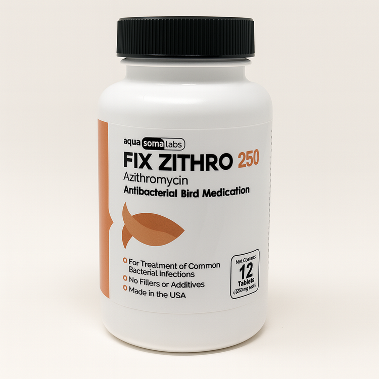 Fish Zithro (Azithromycin) 250mg 12 Tablets Fish Antibiotics