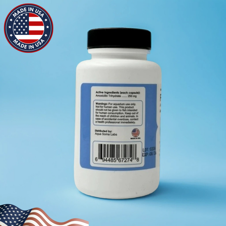 Fish Mox Fish Antibiotics 250mg – Broad-Spectrum Infection Treatment