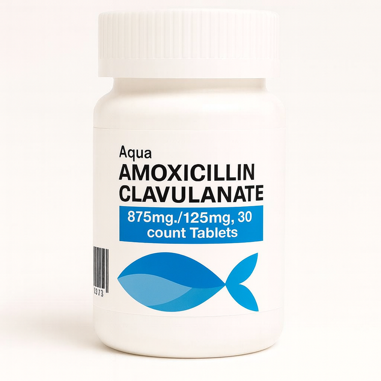 Fish Amoxicillin Clavulanate 875/125mg – 30 Tablets