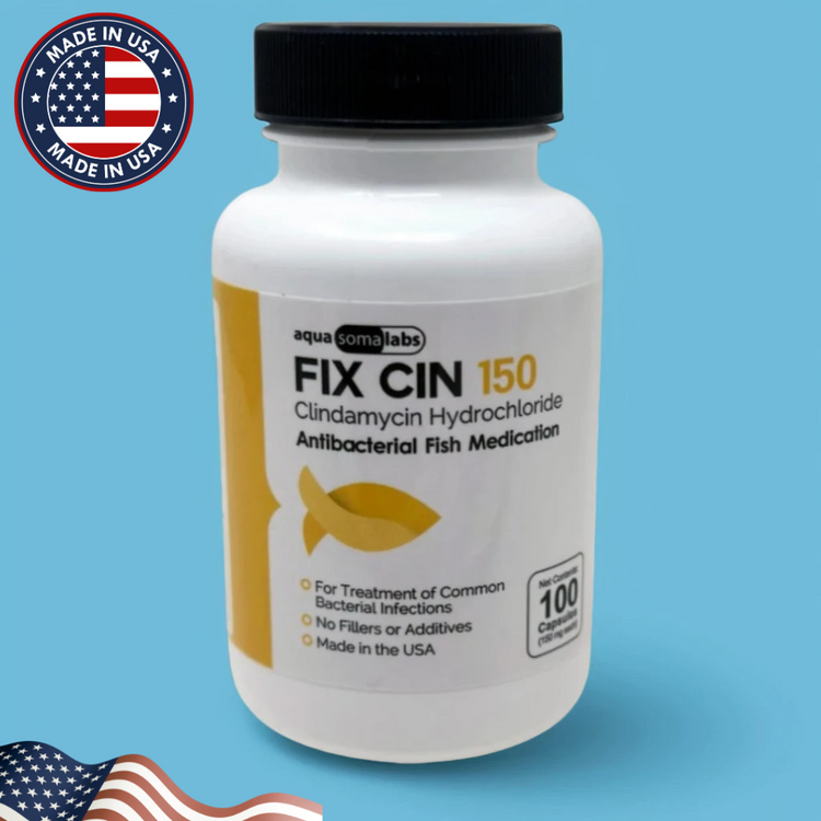 Fish Cin Clindamycin 150mg – 100 Capsules for Ornamental Fish
