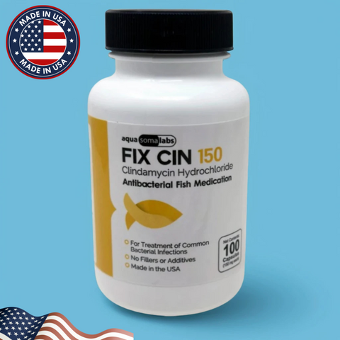 Fish Cin Clindamycin 150mg – 100 Capsules for Ornamental Fish