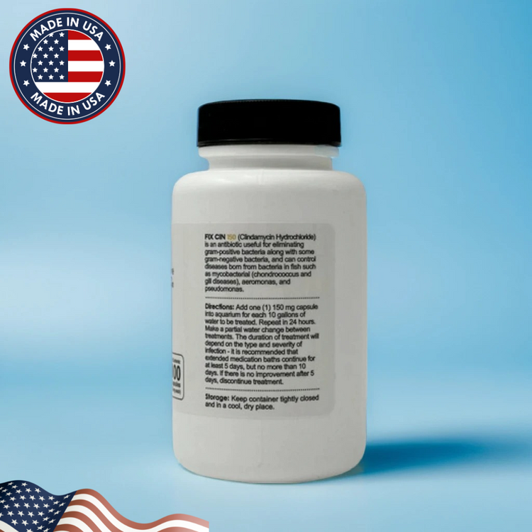 Fish Cin Capsules – Bacterial Infection Treatment for Aquarium Fish