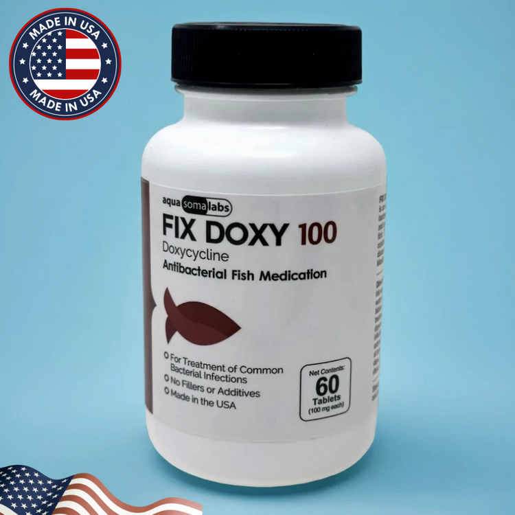 Fish Doxy 60 Capsules – Doxycycline Treatment for Fin Rot