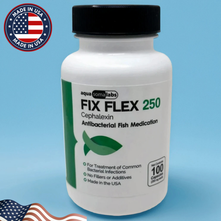 Fish Flex 250mg 100 Count – Trusted Fish Antibiotic Capsules