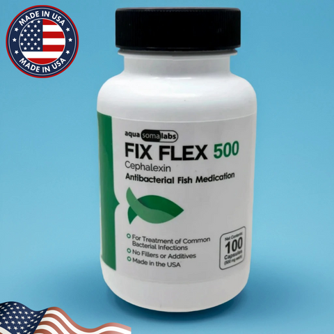 Fish Flex 500mg 100 Capsules – Bacterial Infection Treatment