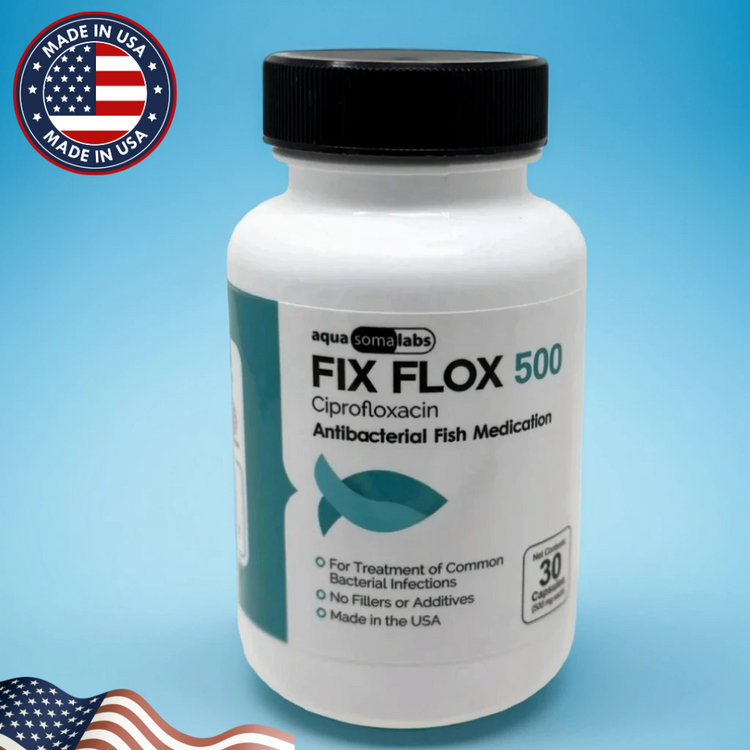 Fish Flox 500mg Fish Antibiotics – Infection Treatment for Fish