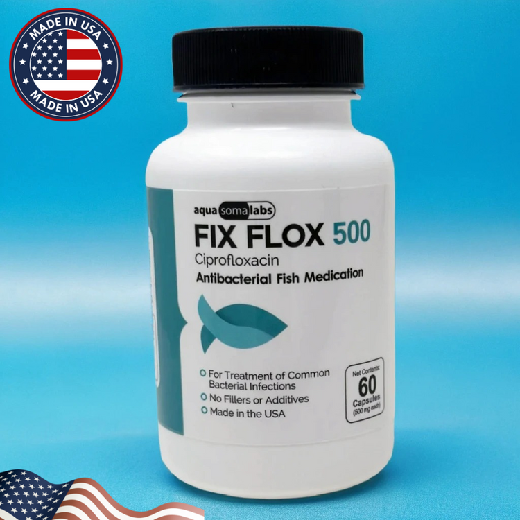 Fish Flox Ciprofloxacin 500mg – 60 Capsules for Aquarium Use