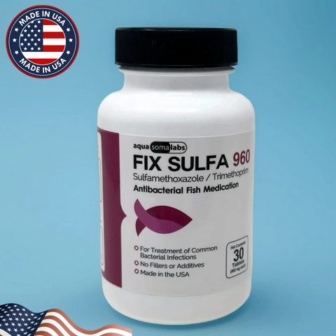 Fish Sulfa Tablets 960mg – Dual-Action Broad-Spectrum Aquarium Antibiotic