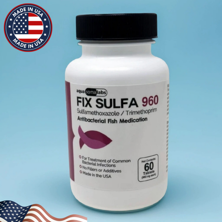 Fish Sulfa 960mg – 60 Tablets Aquarium Fish Antibiotics