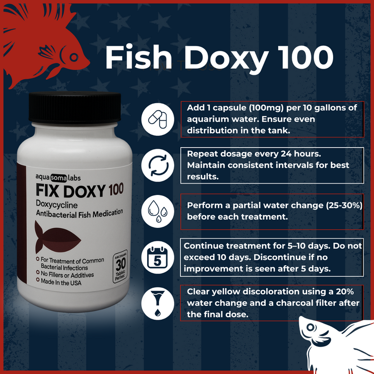 Fish Doxy 100mg Doxycycline 30 Capsules Directions to Use