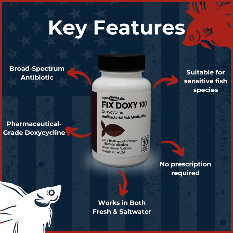 Fish Doxy 100mg Doxycycline 30 Capsules Key Features