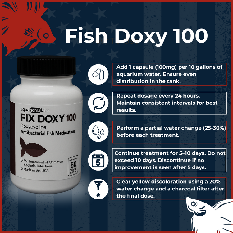 Fish Doxy 100mg Doxycycline 60 Capsules Directions to Use