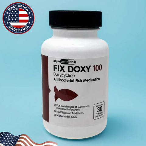 Fish Doxy 100mg – Doxycycline Capsules for Aquarium Fish