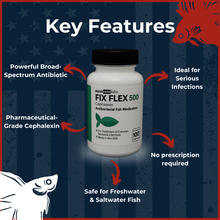 Fish Flex 500mg Cephalexin key benefits and product highlights