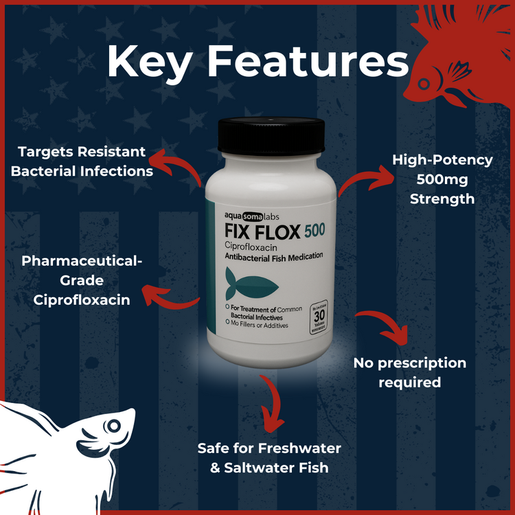 Fish Flox 500mg 30 Capsules key features and benefits