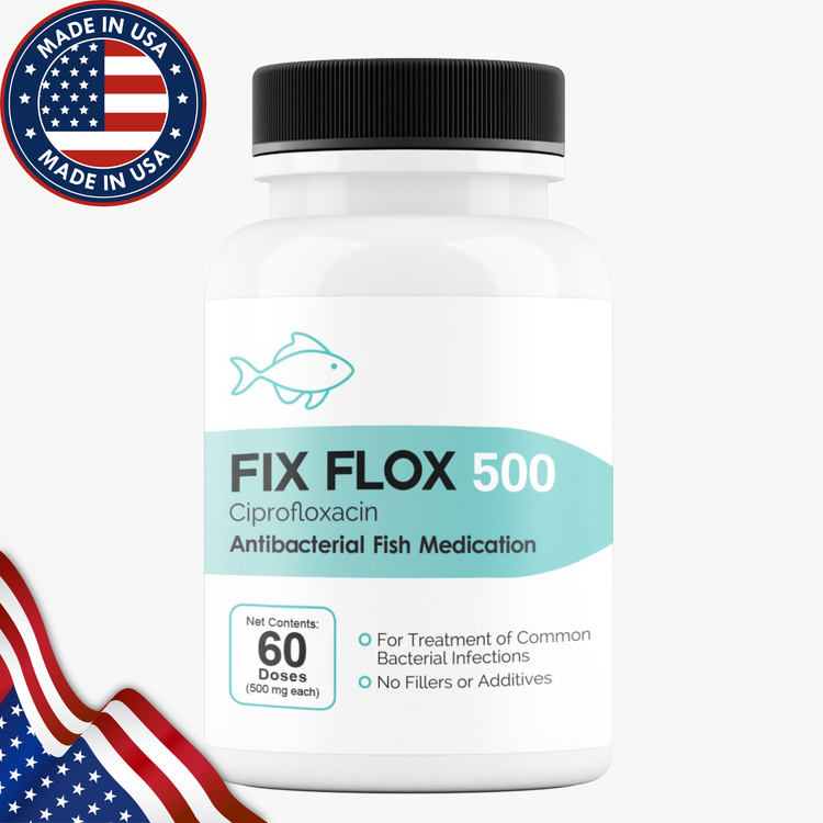 Fish Flox Ciprofloxacin 500 60 Capsules
