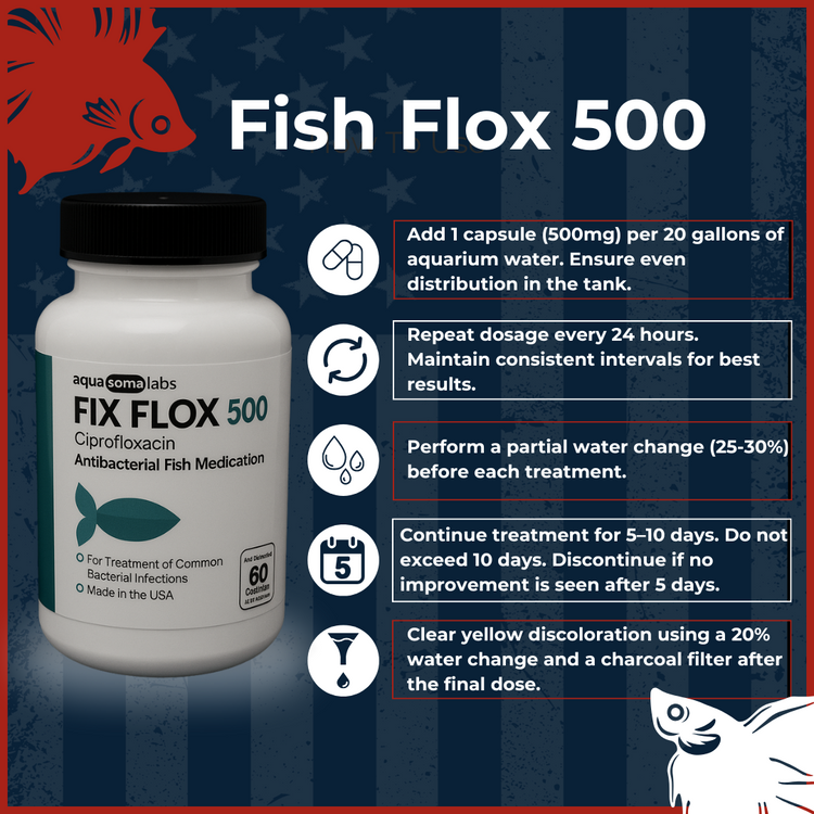Fish Flox 500mg 60 Capsules dosage and usage guide
