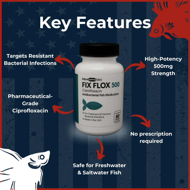 Fish Flox 500mg 60 Capsules key features and benefits