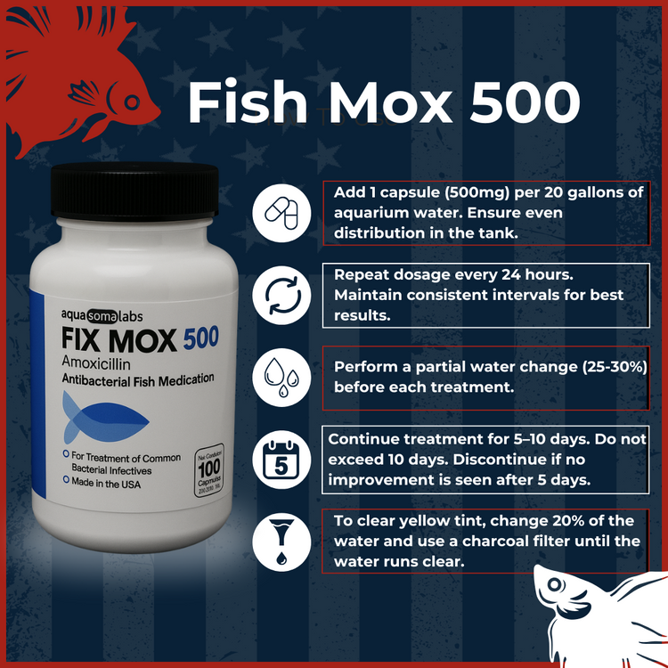 Fish Mox 500mg Amoxicillin dosage and treatment instructions