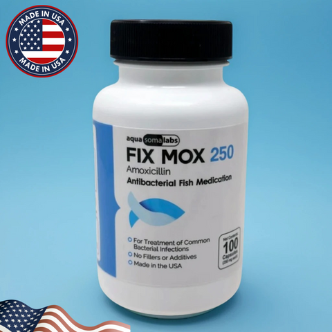 Fish Mox 250mg 100 Count Bottle – Fish Antibiotics for Fin Rot
