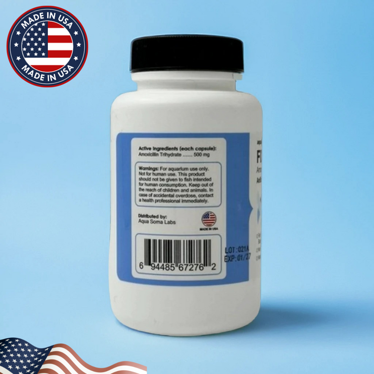 Fish Mox 500mg – 100 Capsules Bottle of Fish Antibiotics