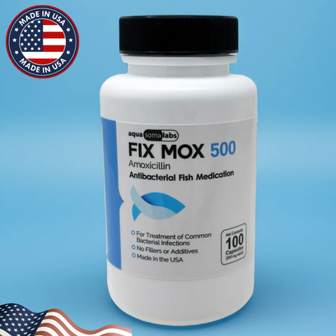 Fish Mox Amoxicillin 500mg – 100 Capsules Bottle of Fish Antibiotics