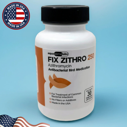 Fish Zithro 250mg Tablets – Azithromycin for Ornamental Fish
