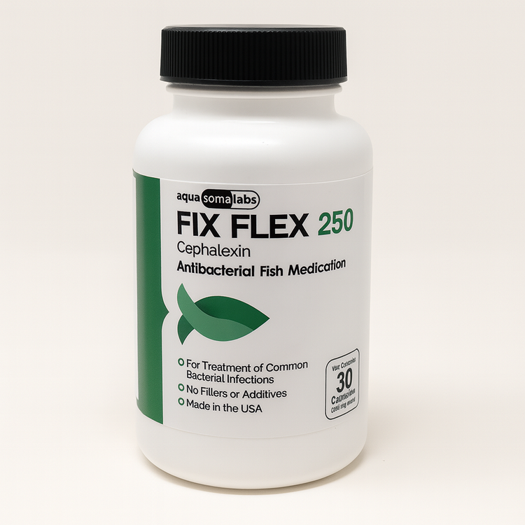 Fish Flex (Cephalexin) 250mg 30 Capsules Fish Antibiotics