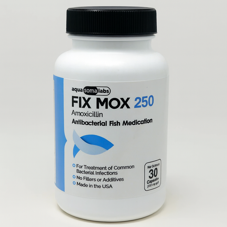 Fish Mox (Amoxicillin) 250 mg 30 Capsules Fish Antibiotics