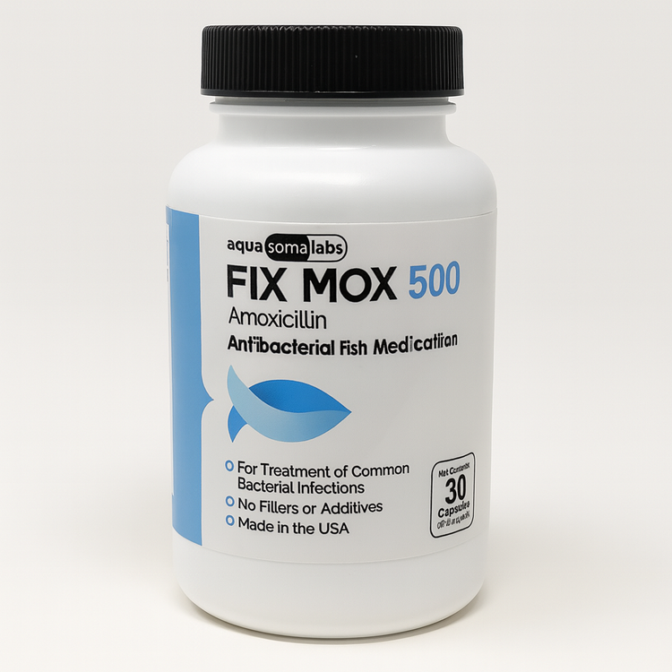 Fish Mox (Amoxicillin) 500 mg 30 Capsules Fish Antibiotics