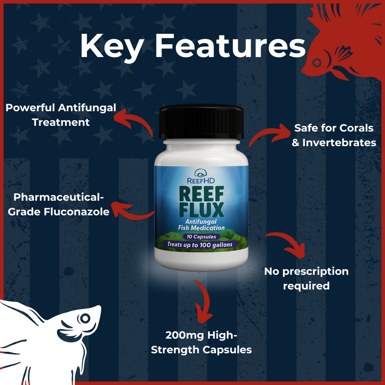 Reef Flux 200mg antifungal treatment features