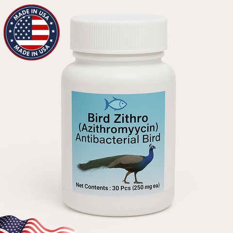 Bird Zithro Azithromycin 250 mg
