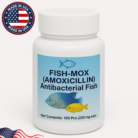 Fish Mox Forte Amoxicillin 250 mg