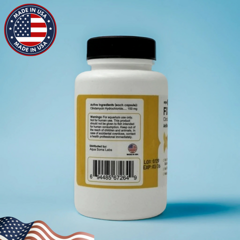 Fish Cin Clindamycin 150mg – 100 Capsules for Ornamental Fish