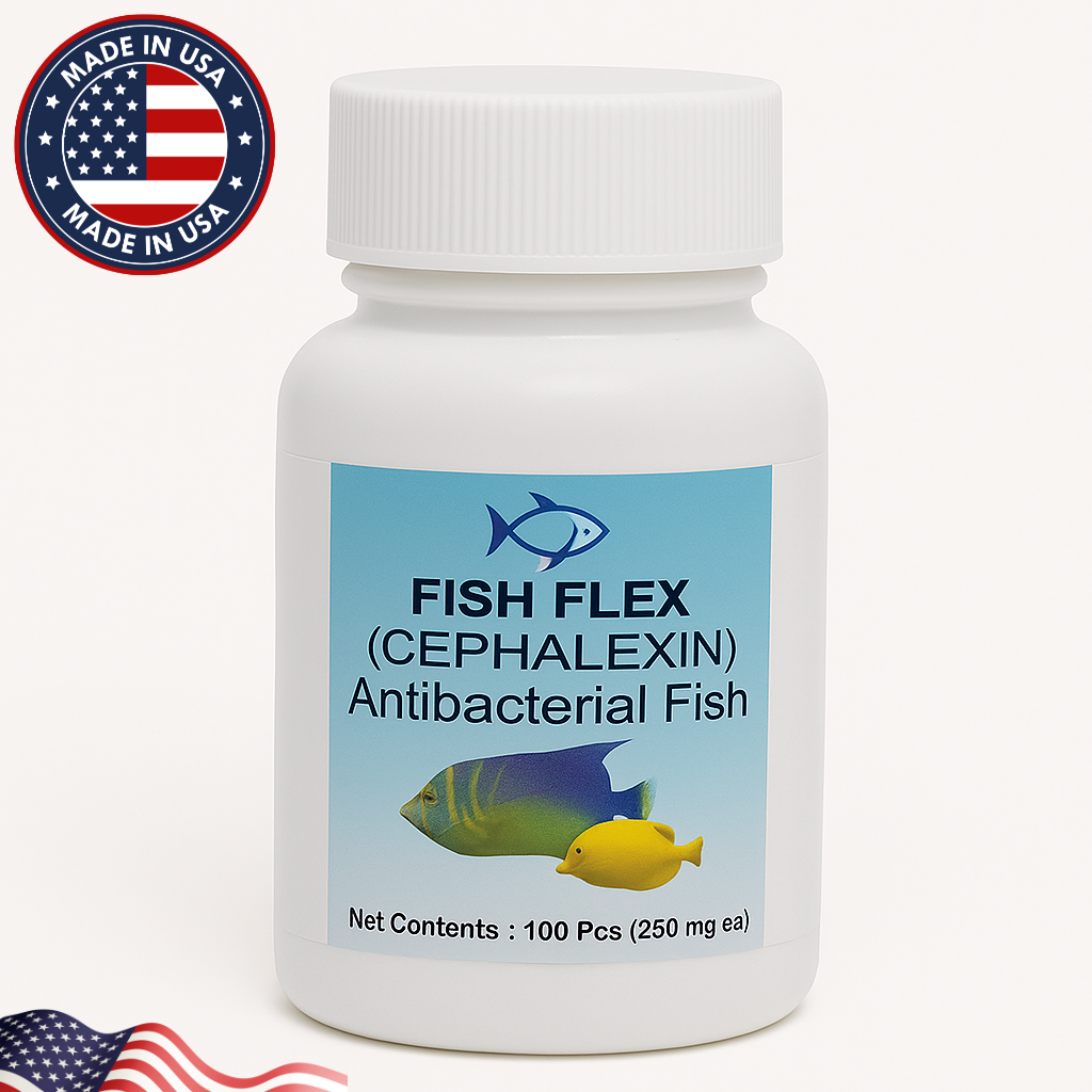 Fish Ceph Cephalexin – 250mg 