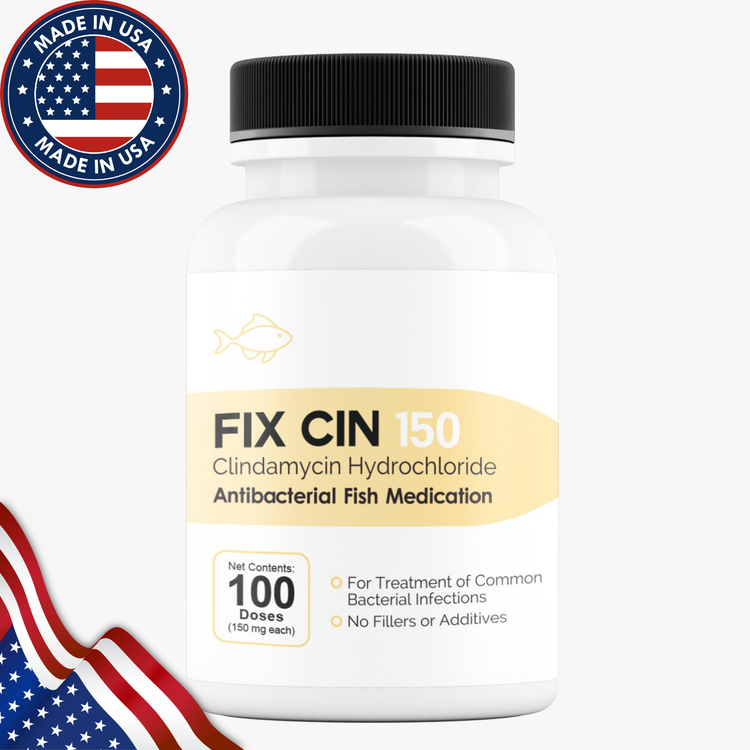 Fish Cin (Clindamycin) 150mg 100 Capsules