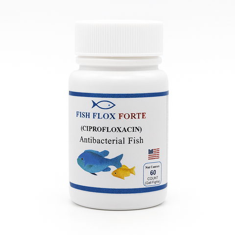 Fish Flox Ciprofloxacin 500 60 Capsules Fish Antibiotics