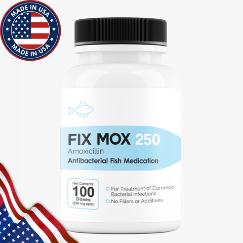 Fish Mox Amoxicillin 250 mg 100 Capsules