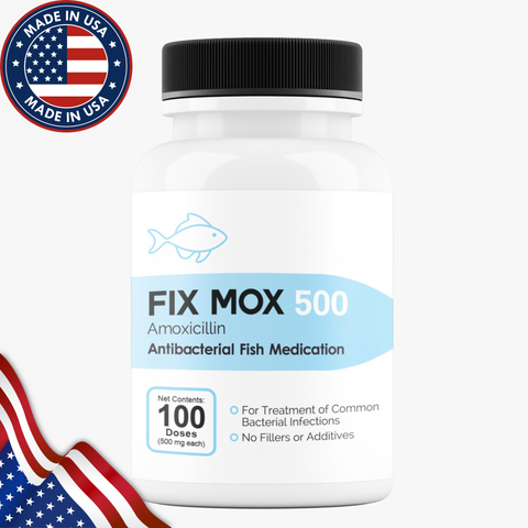 Fish Mox Amoxicillin 500 mg 100 Capsules