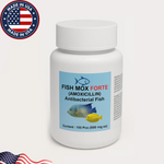 Fish Mox Forte Amoxicillin