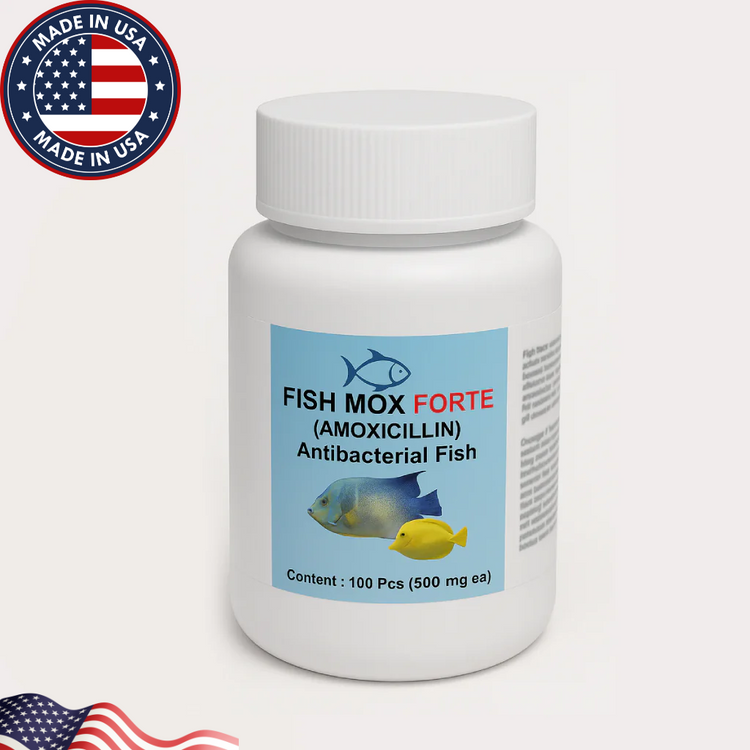 Fish Mox Forte Amoxicillin