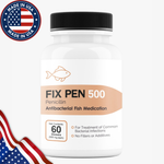 Fish Pen (Penicillin) 500mg 60 Tablets