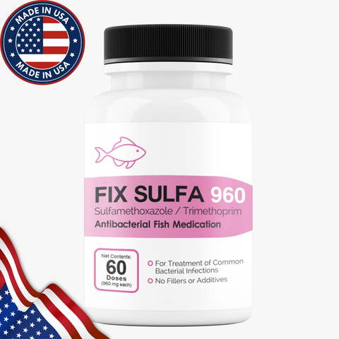 Fish Sulfa 960mg 60 Tablets