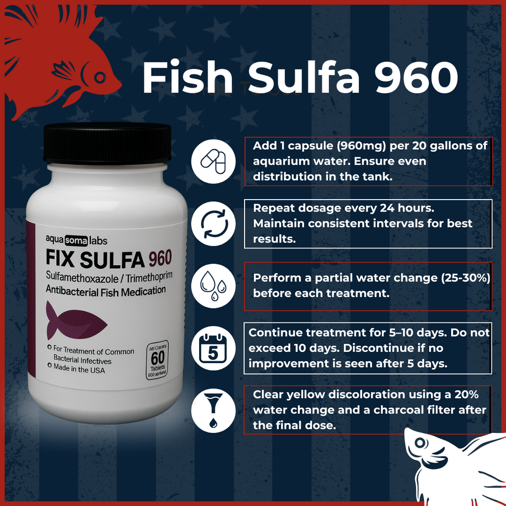 Fish Sulfa 960mg 60 Tablets dosage and directions

