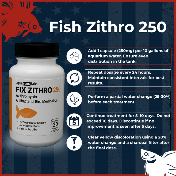 Fish Zithro 250mg 30 Tablets features and benefits