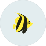 FISH ANTIBIOTICS