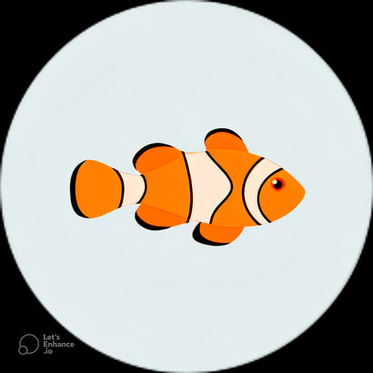 FISH AZITHROMYCIN